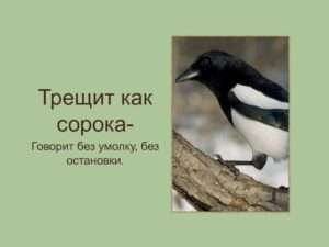 Выражение трещать без умолку: описывая непрекращающийся поток разговоров