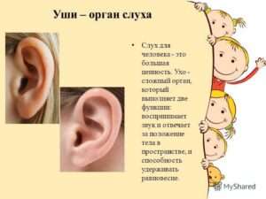 Выражение тугой на ухо: описывая человека, не желающего делиться информацией или секретами